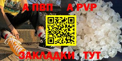 ешки Кингисепп