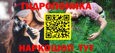 ешки Кингисепп