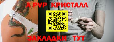 ешки Кингисепп
