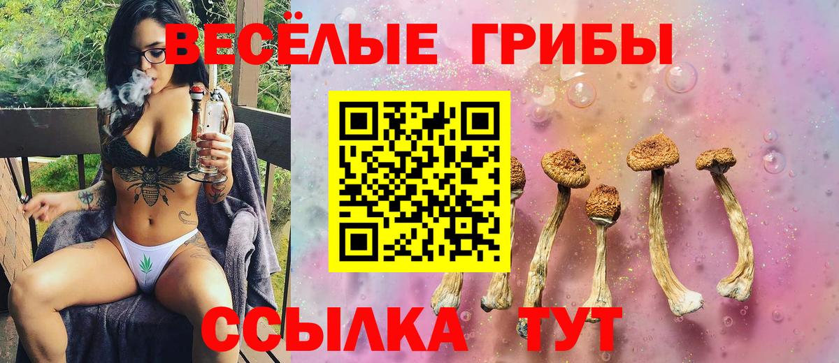 Карабулак  Псилоцибиновые грибы ЛСД  Вход с VPN 