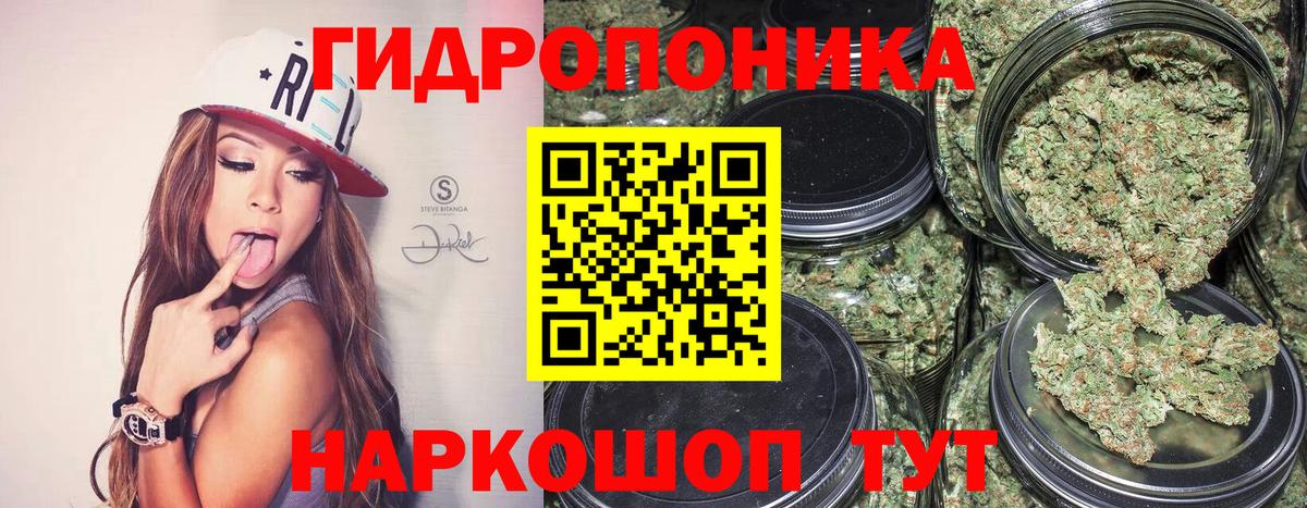 Шишки марихуана тримм  Каннабис тримм  Конопля White Widow  Вход с VPN  Карабулак  МАРИХУАНА AK-47 